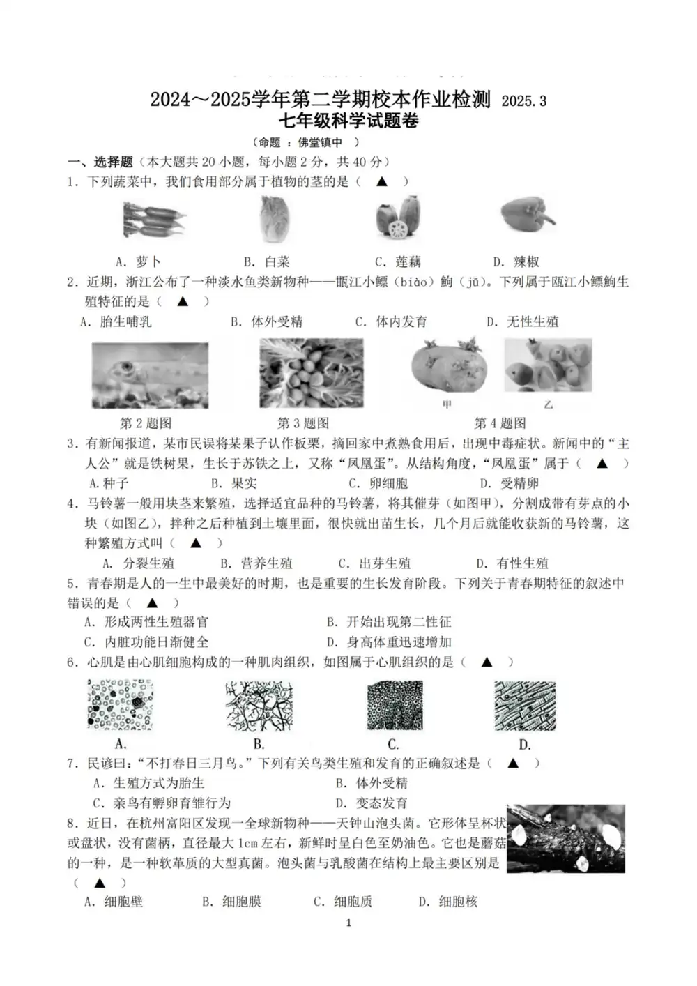 缩略图