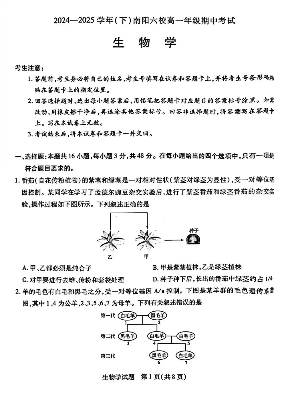 缩略图