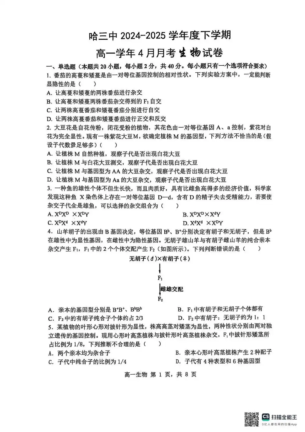 缩略图