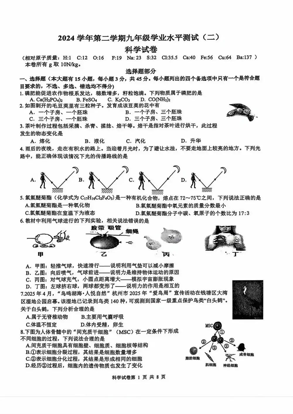 缩略图