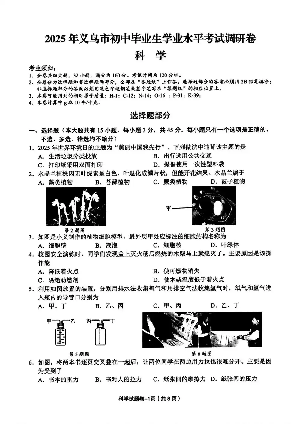缩略图