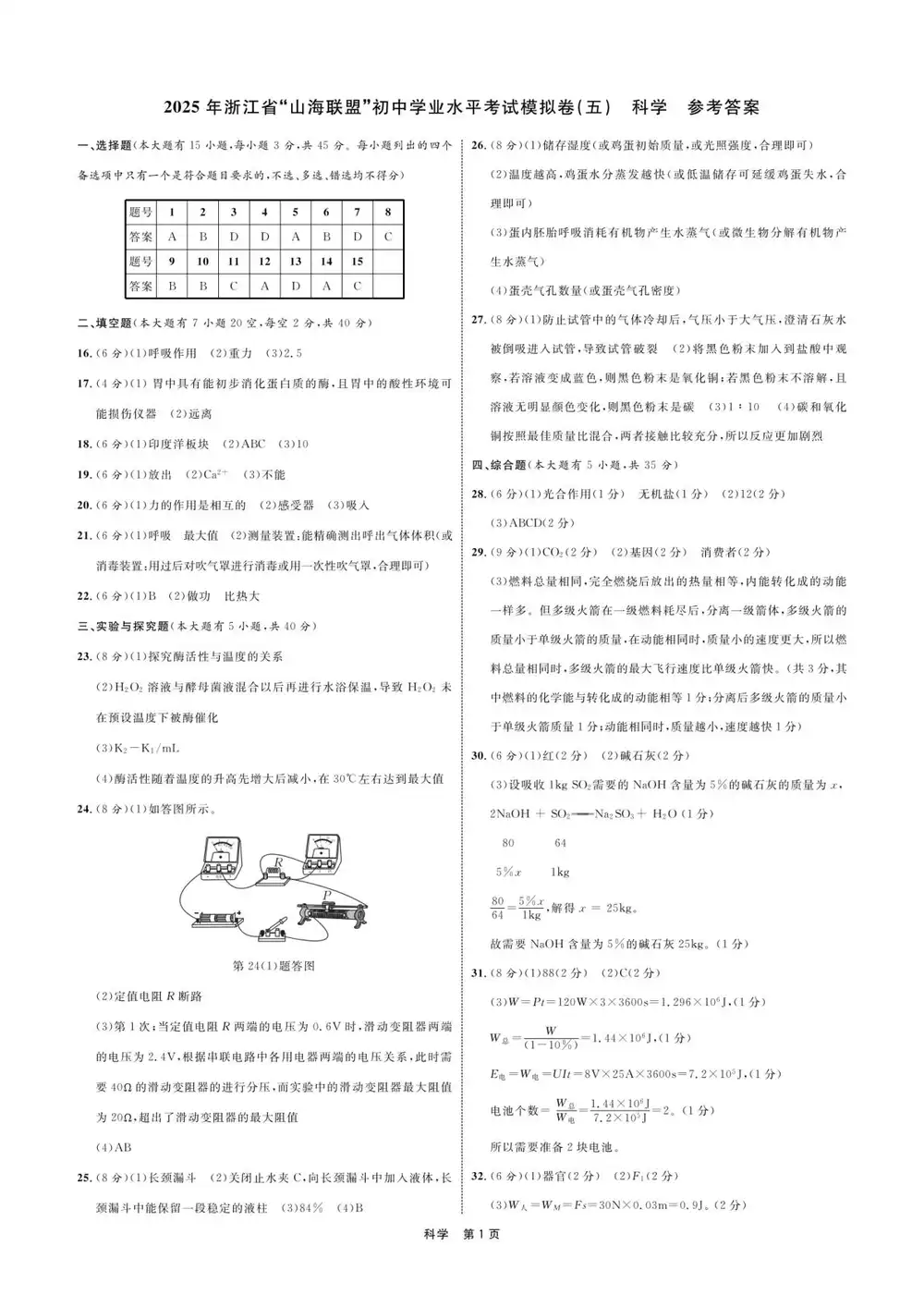 缩略图
