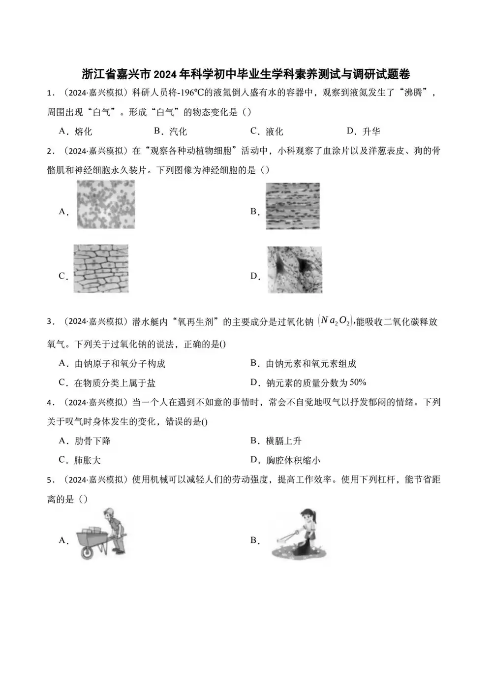 缩略图