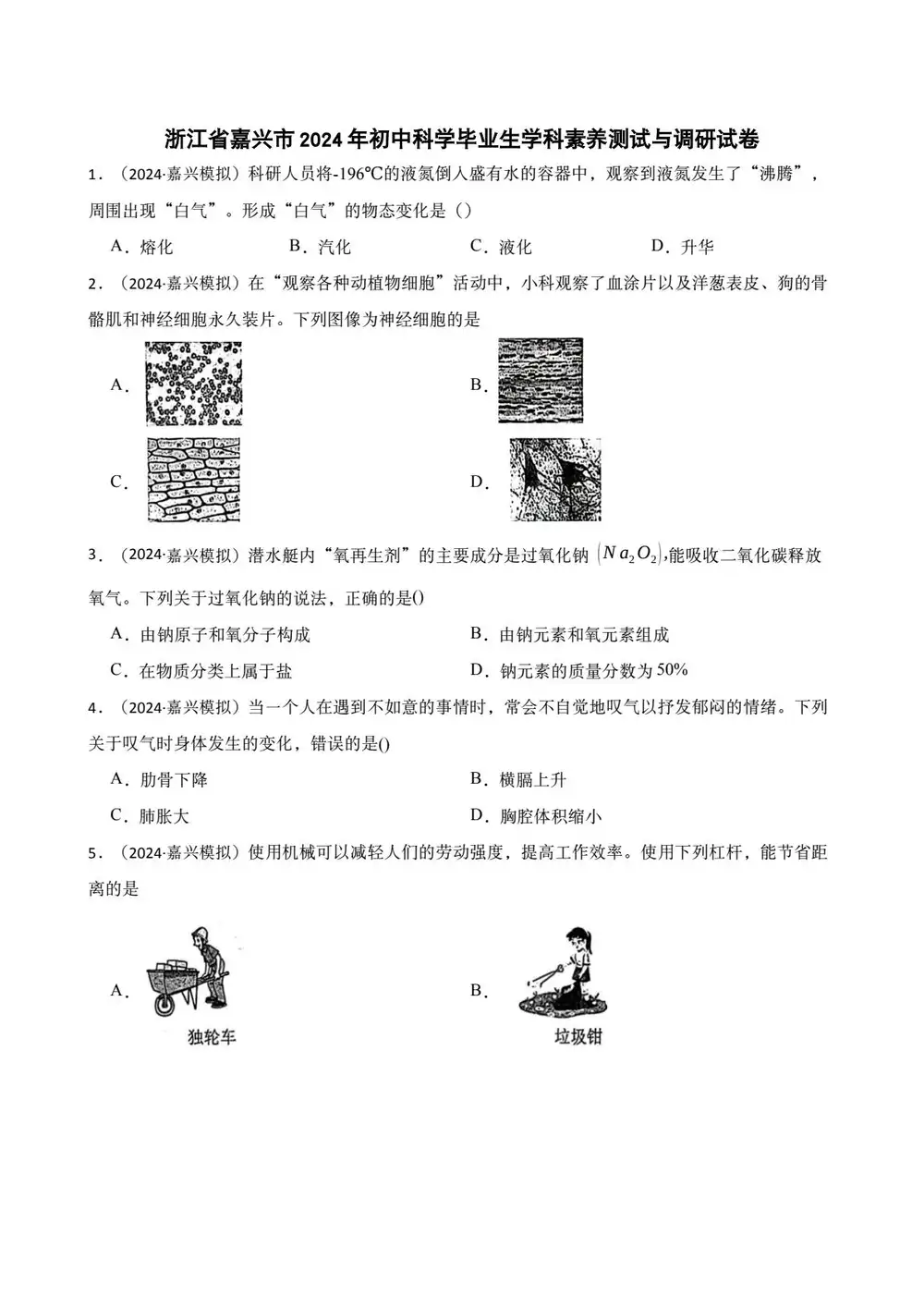 缩略图