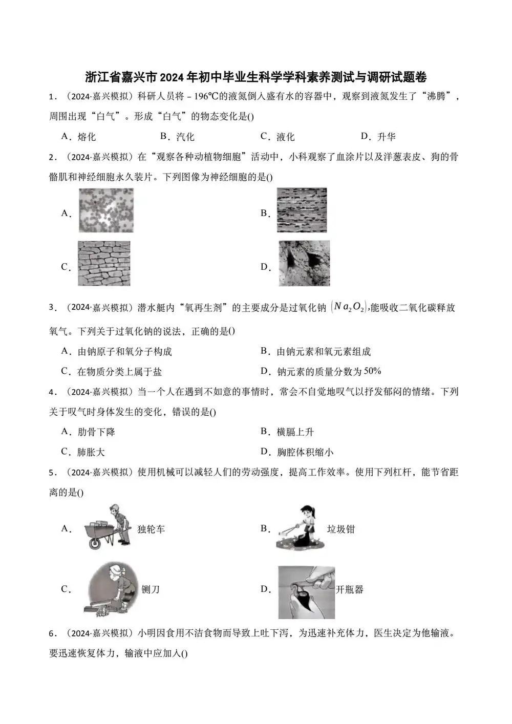 缩略图