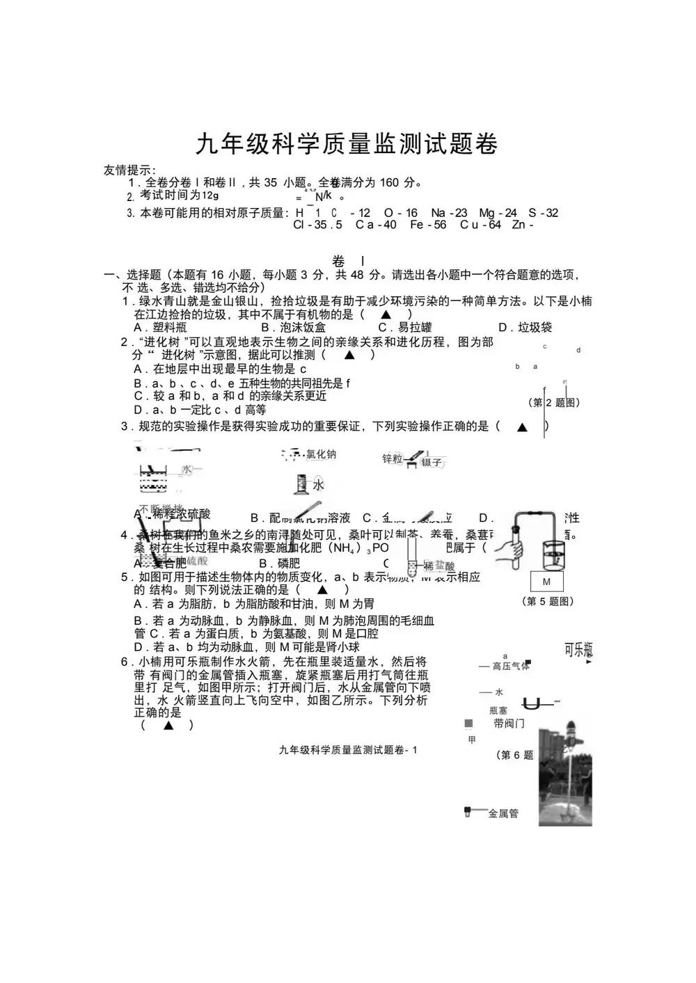 缩略图