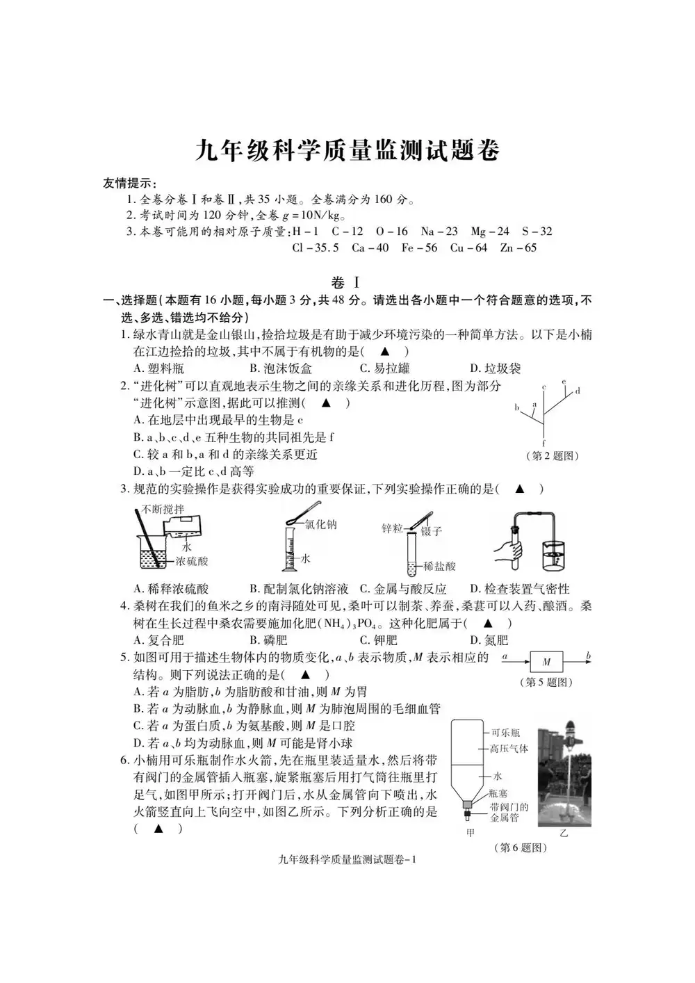 缩略图