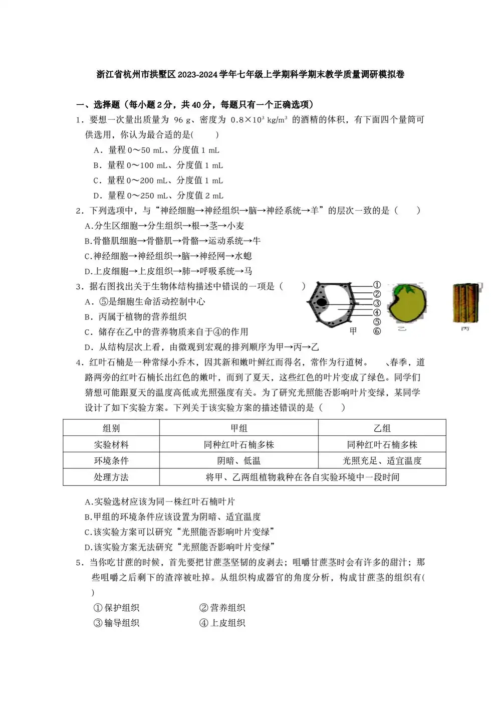 缩略图