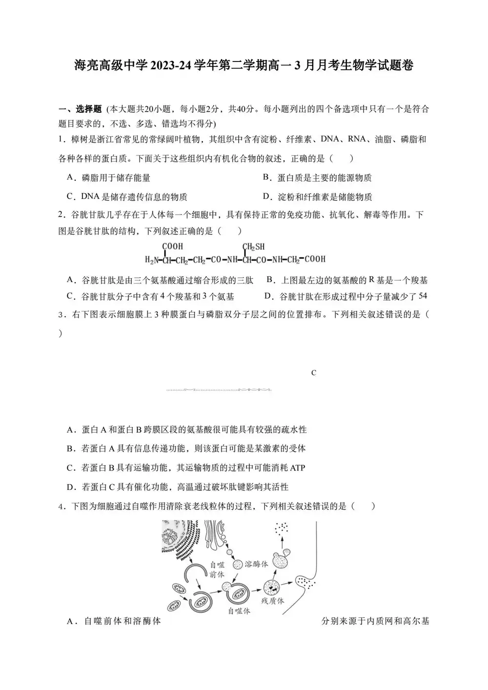 缩略图