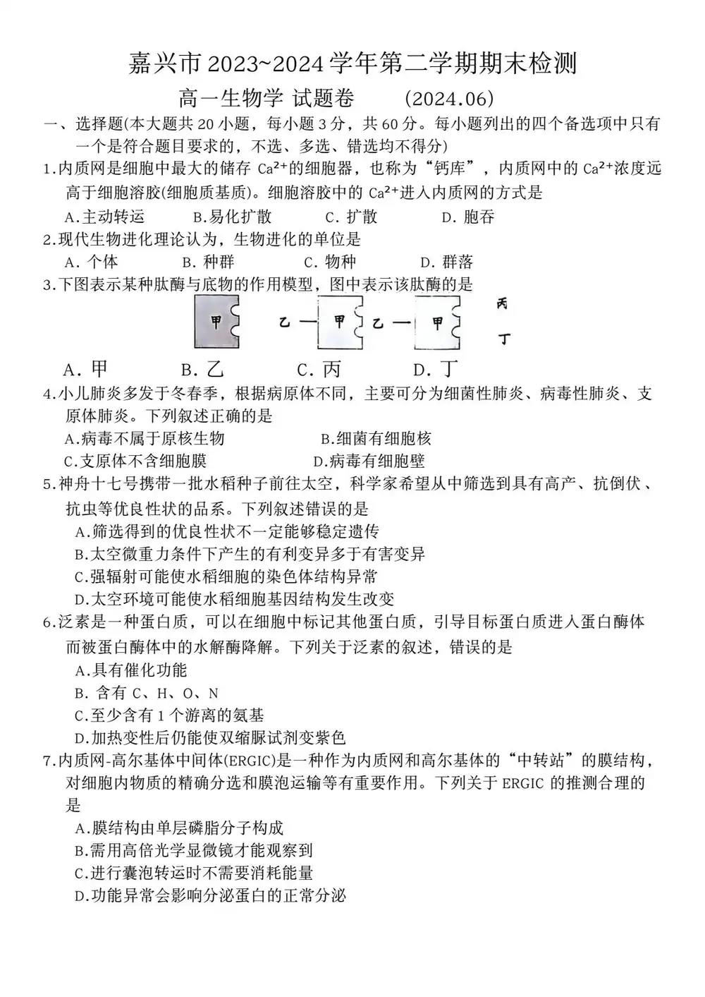 缩略图