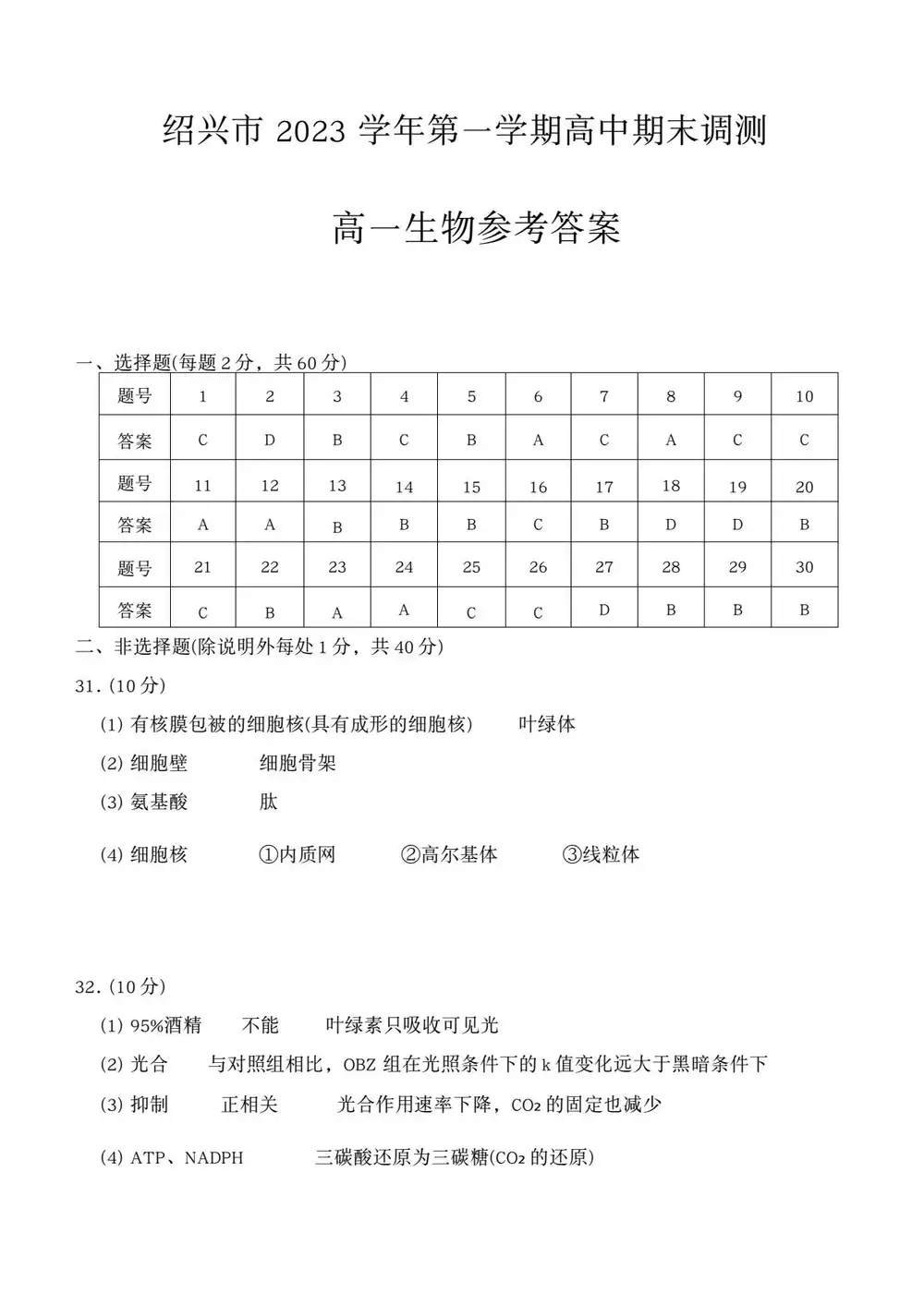 暂无预览