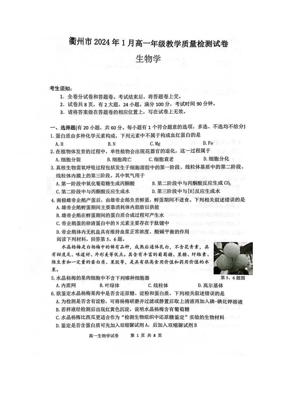 缩略图